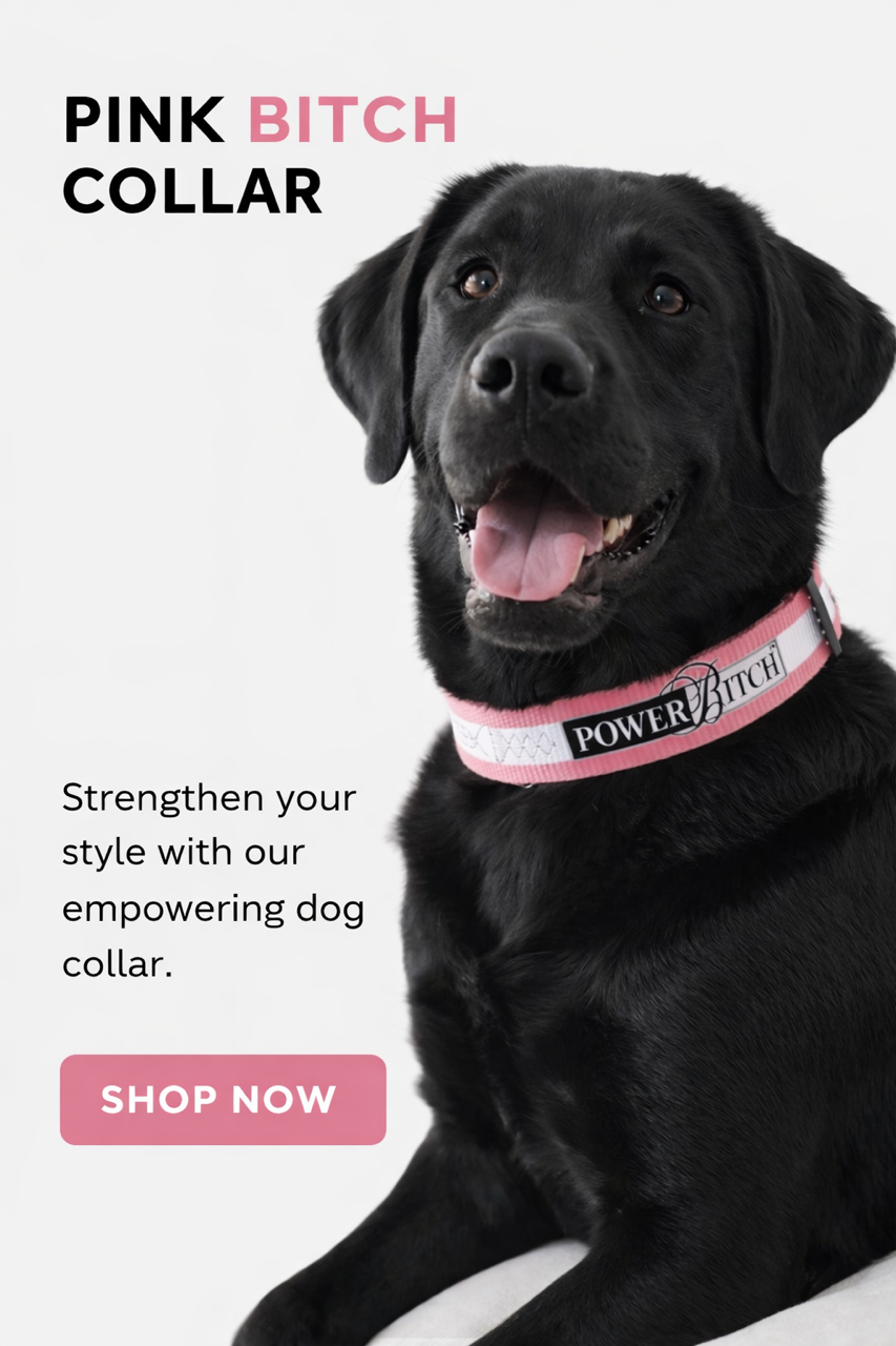 Reflective Power Bitch Dog Collars