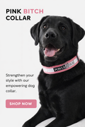 Reflective Dog Collars